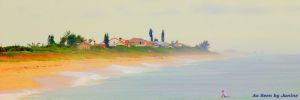 2u-Surfer and Beach in Sebastian Inlet State Park Florida .jpg